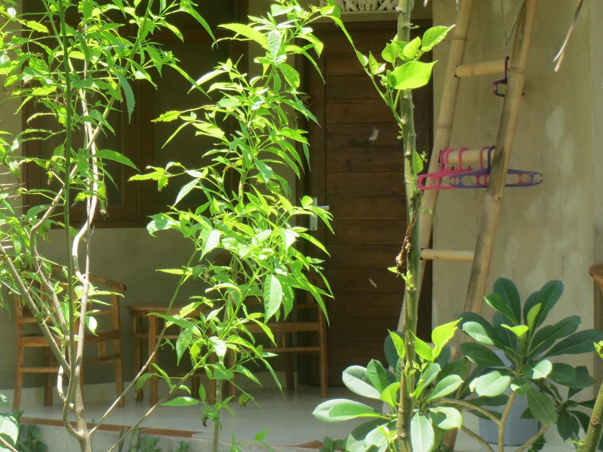 Amed Sari Beach Guesthouse Esterno foto