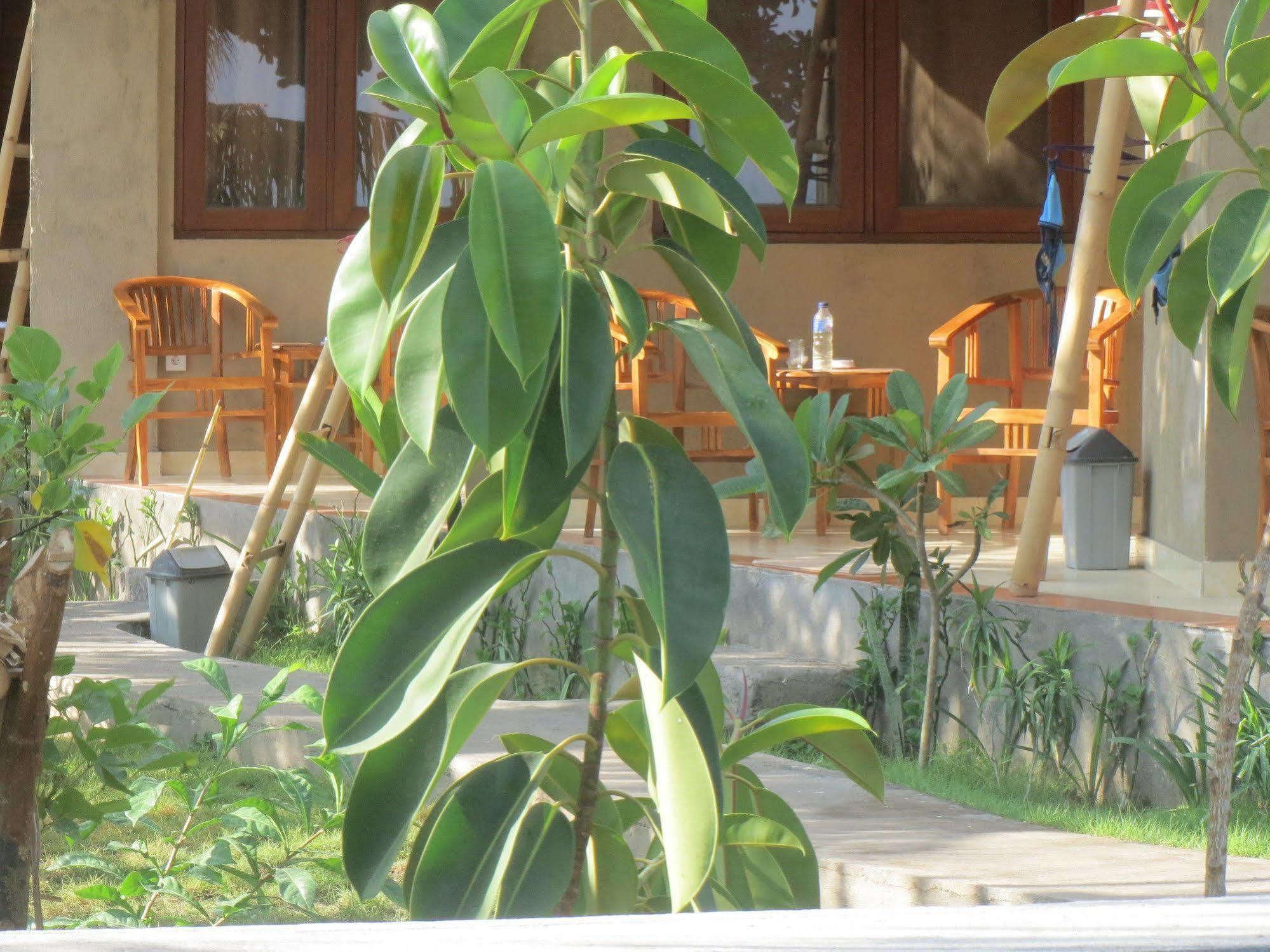Amed Sari Beach Guesthouse Esterno foto